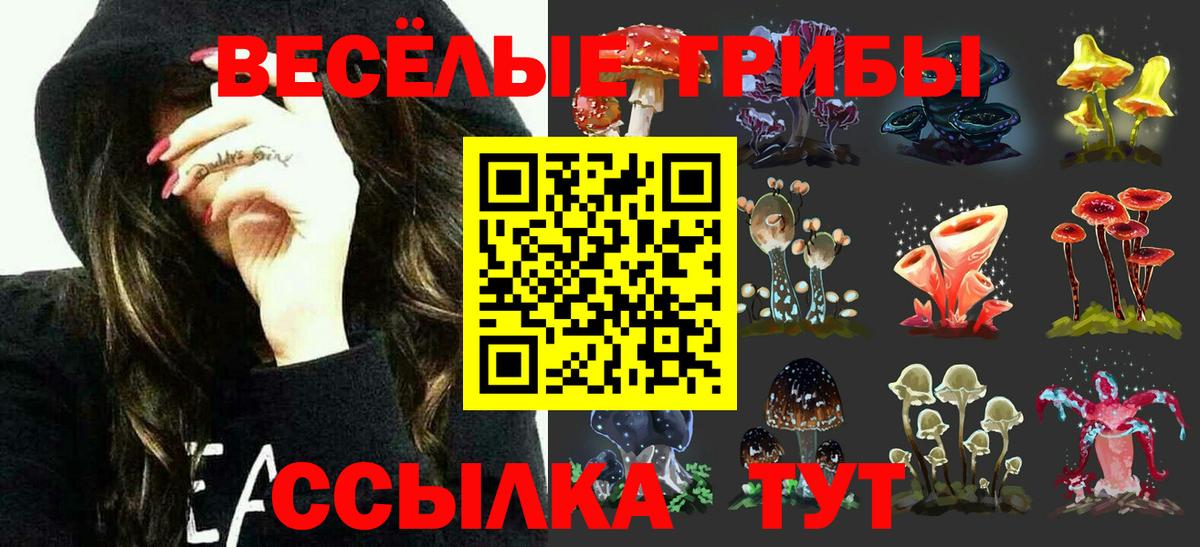 Галлюциногенные грибы GOLDEN TEACHER Нурлат