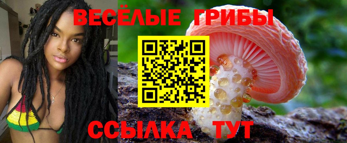 Нурлат  Псилоцибиновые грибы MAGIC MUSHROOMS  Вход с VPN 